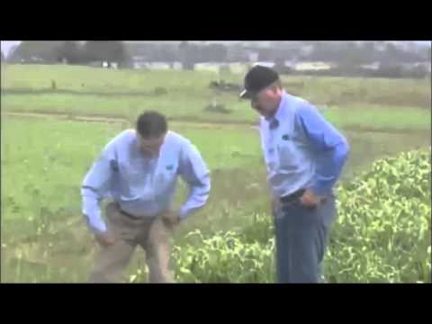 AGL's Experiment with Fracking Waste Water on Dairy Cattle, Prime7 Gloucester