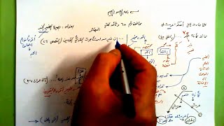 صورة 65 🔦 بصيرة الضمير الخبر