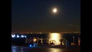 Love Brace with Photo