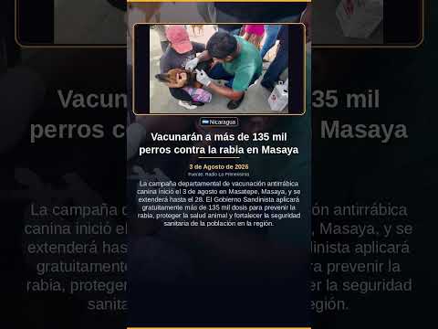 Vacunarán a más de 135 mil perros contra la rabia en Masaya