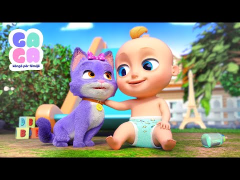 🐱 Macja ime 🐱 | Këngët më të mira edukative për fëmijë | Ga Ga Këngë për fëmijë