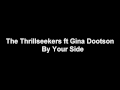 The Thrillseekers feat. Gina Dootson - By Your ...