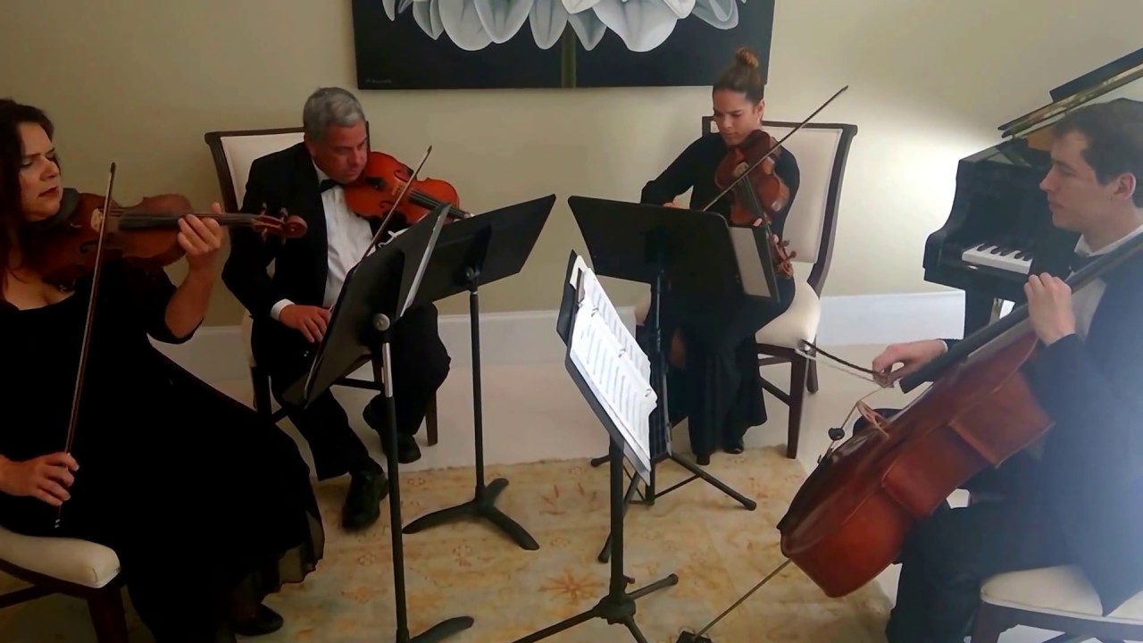 Hire Eleganza Strings String Quartet in Miami, Florida