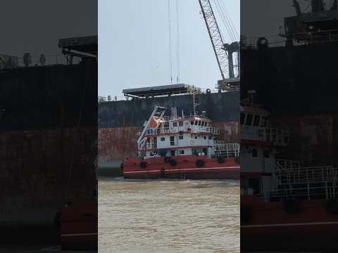 OMG! Massive Ship Arrives at Kandla Port 🚢