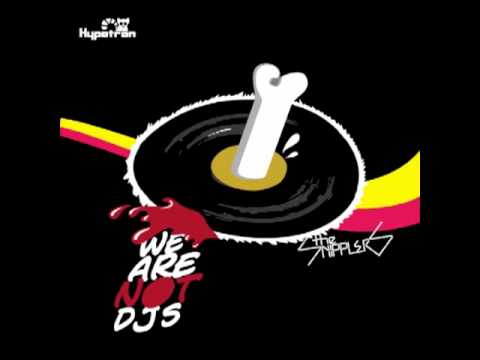 The Snipplers - We Are Not Djs (Arm Your Sampler remix)