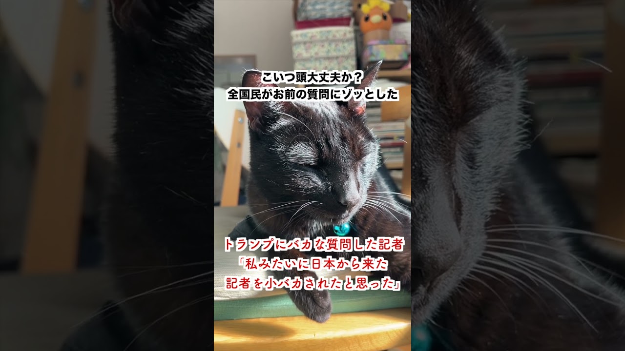 【激怒】トランプにバカな質問した記者「私みたいな日本から来た記者を小バカにした」