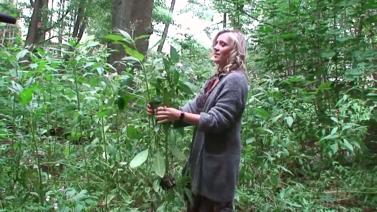 Invāzija bieži ir neapturama