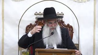 🕊️ הרב ישי פרי שליט״א |השיעור השבועי | פרש וארא תשפ״ו