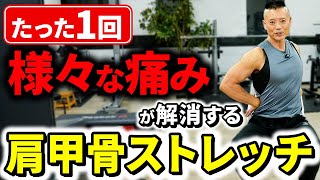 【肩甲骨】体を柔らかくするストレッチ！肩甲骨が固い人！