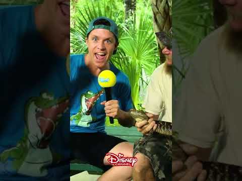 In der Beni Challenge geht es wild zu! | Disney Channel #Shorts