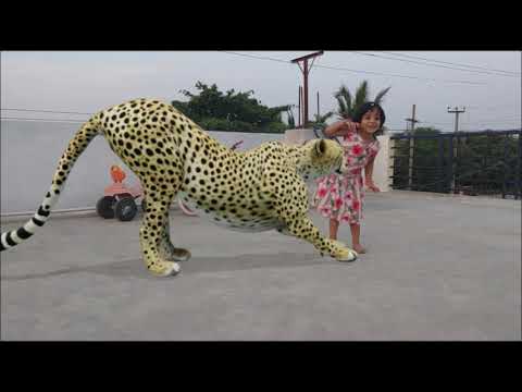 Google 3d Animals not Working in Android Phone | Problem Fixed