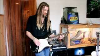 Red Hot Chili Peppers - Animal Bar - Cover by Lane Argue