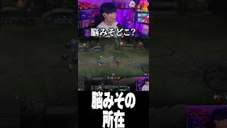 脳みその所在が問われるさぬえ