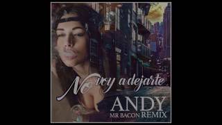 ANDY - No Voy A Dejarte ( Remix )