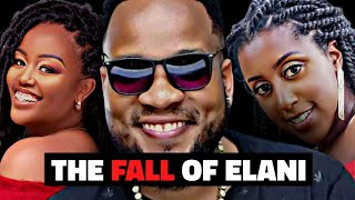 The Downfall of Elani: What Happened?