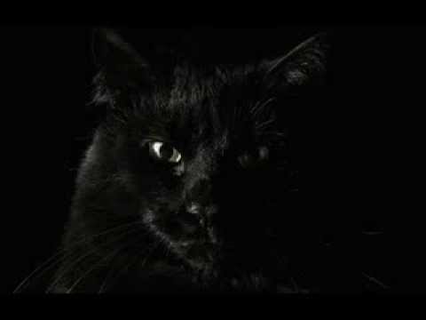 Otra Puse & Antra Stafecka - Uzzīmē mani