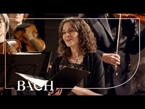 Netherlands Bach Society