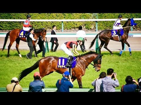 2017.04.16第77回皐月賞(G1)本馬場入場＆返し馬＠中山競馬場