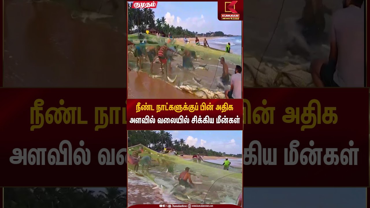 நீண்ட நாட்களுக்குப் பின் அதிக அளவில் வலையில் சிக்கிய மீன்கள் | Fishermen | Kumudam News