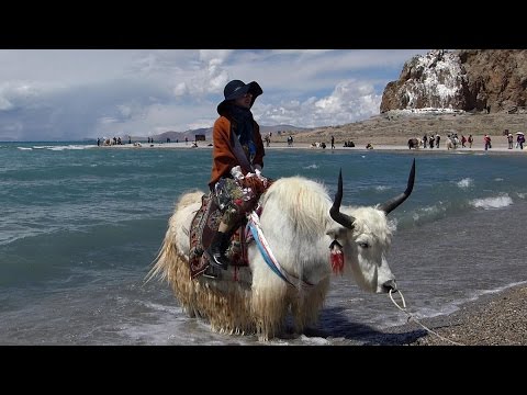 美麗西藏十日遊