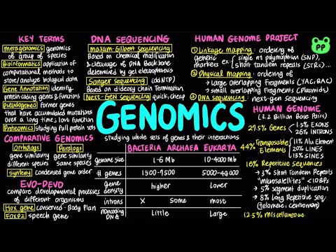 Genomics | Molecular Biology 11 | Biology & Biochem | PP Notes | Campbell 8E Ch. 21