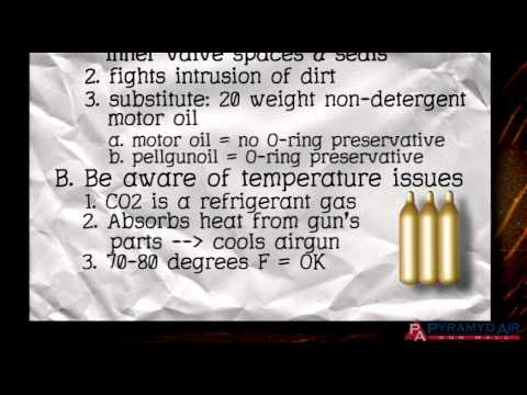 Airgun Academy Episode 28 - Maintenance for CO2 guns
