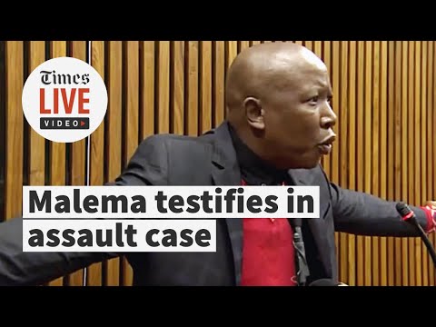 Malema testifies in assault case 'A humiliation and violation of my dignity'