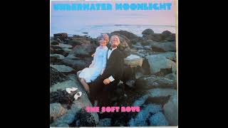 The Soft Boys - Underwater Moonlight 1980 Full Album Vinyl