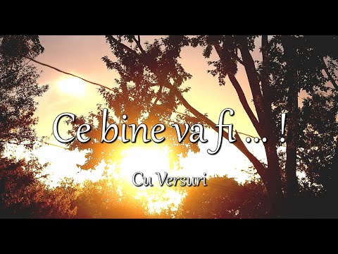 Vio Diacu - Ce bine va fi (Treziti-va Frati) (Cu Versuri)