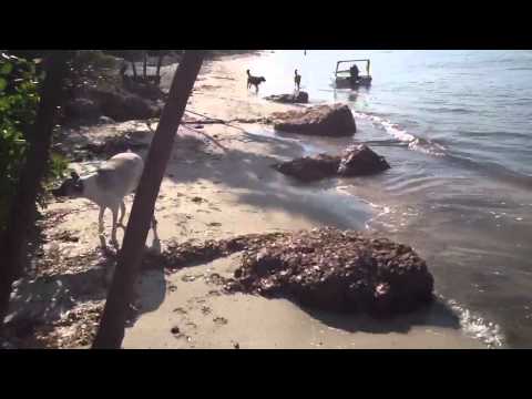 Cuauhtemoc, Xochitl, Kokay y Lala playa Norte Cozumel