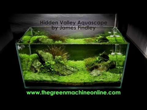 Hidden Valley Aquascape @ The Green Machine