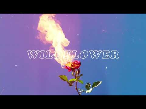 Ida Red Wildflower