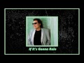 Ronnie Milsap - If It's Gonna Rain
