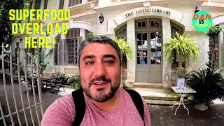 Former Neo-French Library Turned Spectacular Health-Food Restaurant | Salad Heaven!! Vientiane, Laos