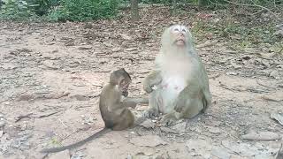 VID20250808165429 play 2