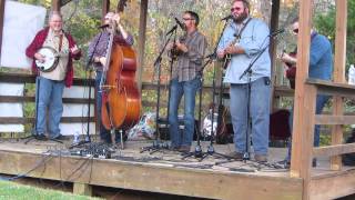 Calling Carolina~ Balsam Range