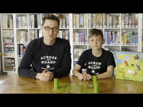 Overview of Battle Sheep