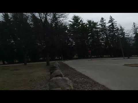 Luigi learning from the best