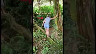 Download lagu raja video kocak||kowe Tak sayang sayang||story wa lucu😂||viral🥀 mp3