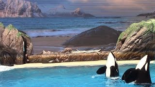 SeaWorld - Orca Encounter - Complete Soundtrack