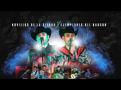 Novillos De La Sierra - Nunca Tire La Toalla Ft Ejemplares De Rancho