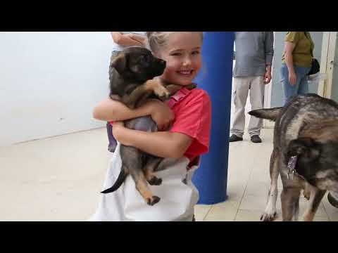 Lucky Dogs Montemor