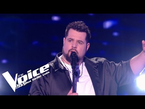 Daniel Balavoine - SOS d'un terrien en détresse - Aurélien | The Voice 2023 | Cross Battles