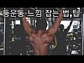 [한의빌더] 등운동 느낌 잡는 법, 팁