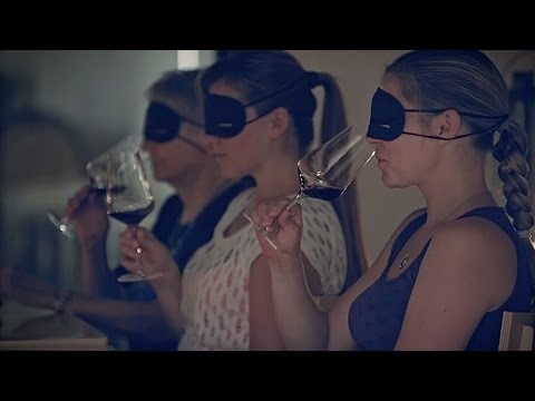 Weingut Eva Vollmer – Best Of Wine Tourism Award 2017