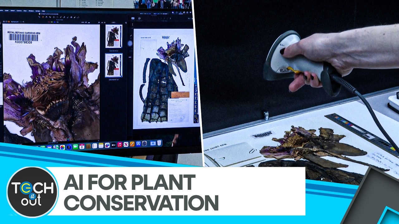 How AI Is Helping Scientists Protect Endangered Plants | WION Tech It Out