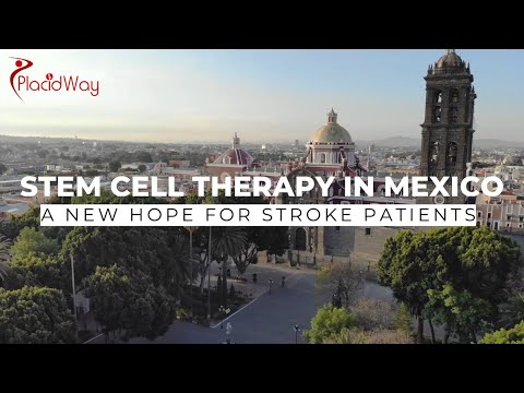 Reviving Hope: Stem Cell Therapy for Stroke Recovery in Mexico
