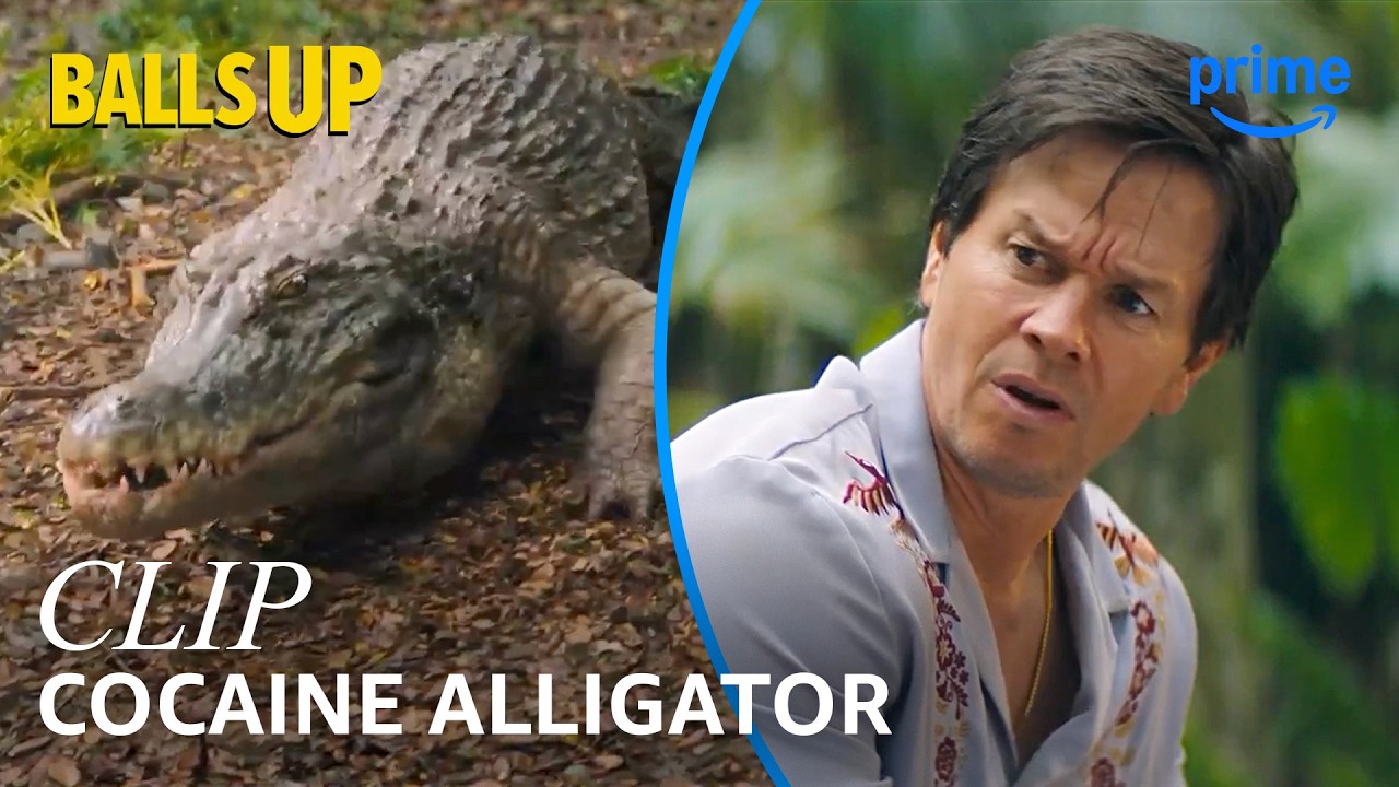 Mark Wahlberg vs. Cocaine Alligator | Balls Up | Clip | Prime Video