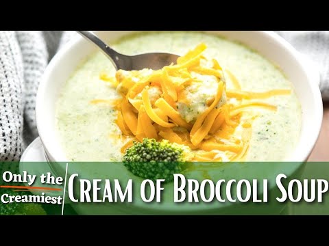 Cream of Broccoli Soup