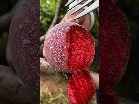 Chinese Fruits You've never seen before. #chinesefruits #mango #farming #shorts #tasty #watermelon